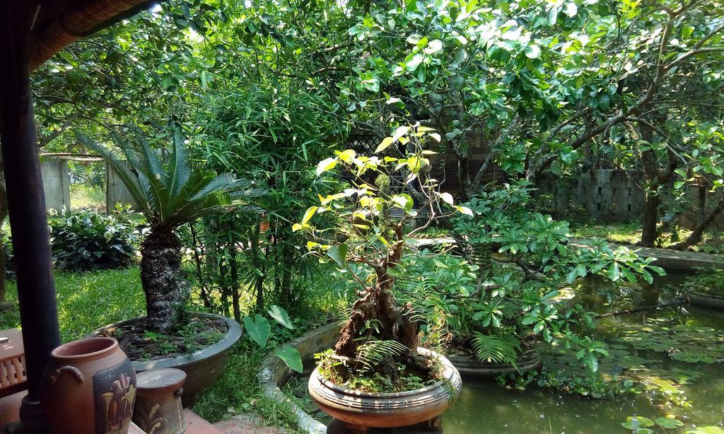 Tam Tinh Vien Homestay Hue Exterior foto