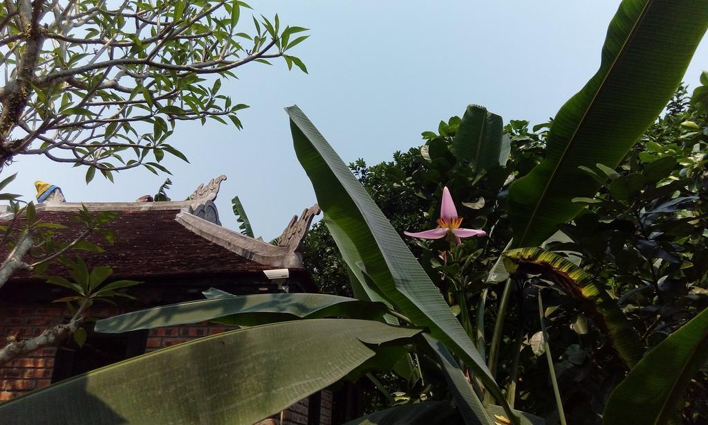 Tam Tinh Vien Homestay Hue Exterior foto