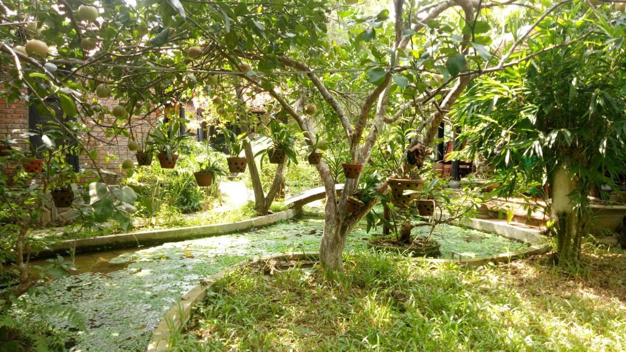 Tam Tinh Vien Homestay Hue Exterior foto